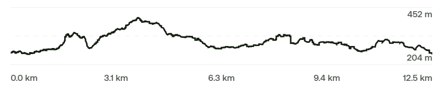 Elevation profile for this walk